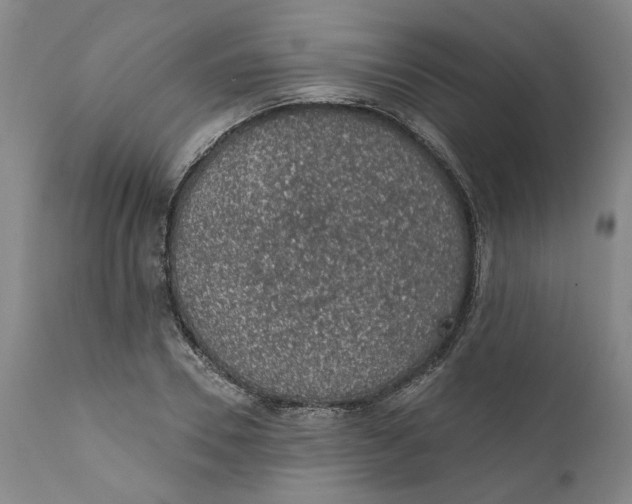 X0000112380930200909101342