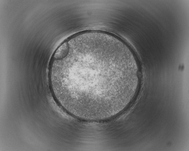 X0000112380932200909101342