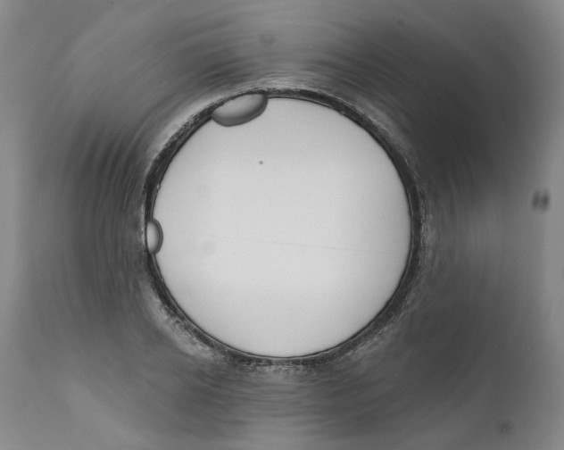 X0000112380934200909101342