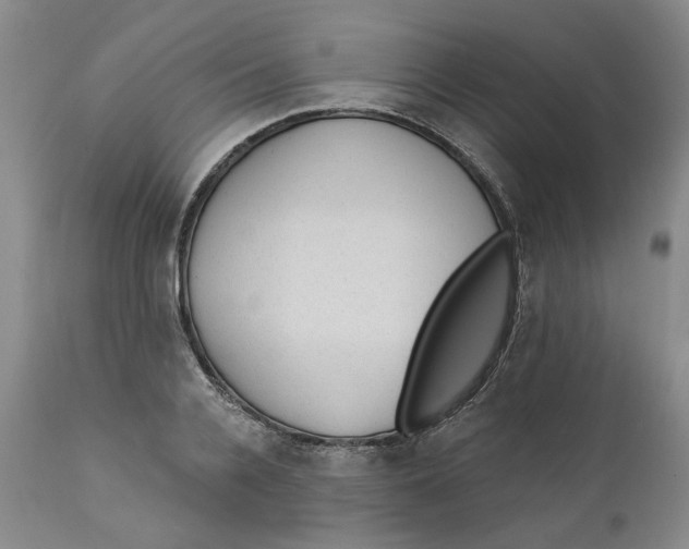 X0000112380936200909101342