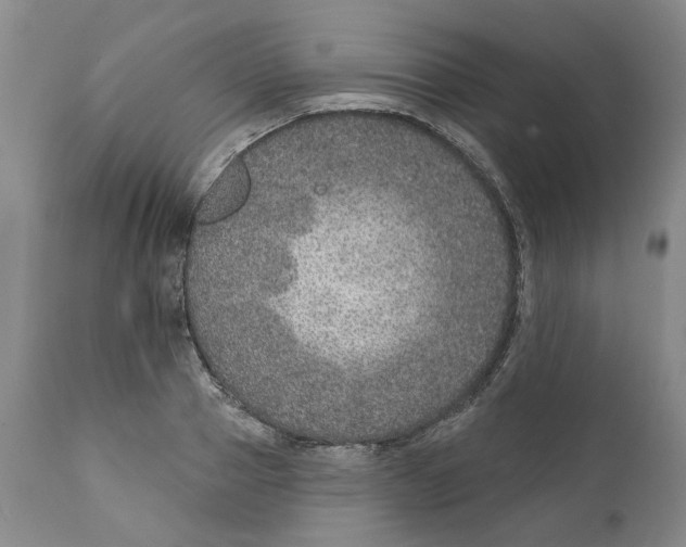 X0000112380937200909101342