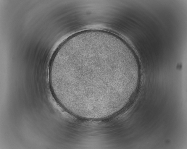 X0000112380939200909101342