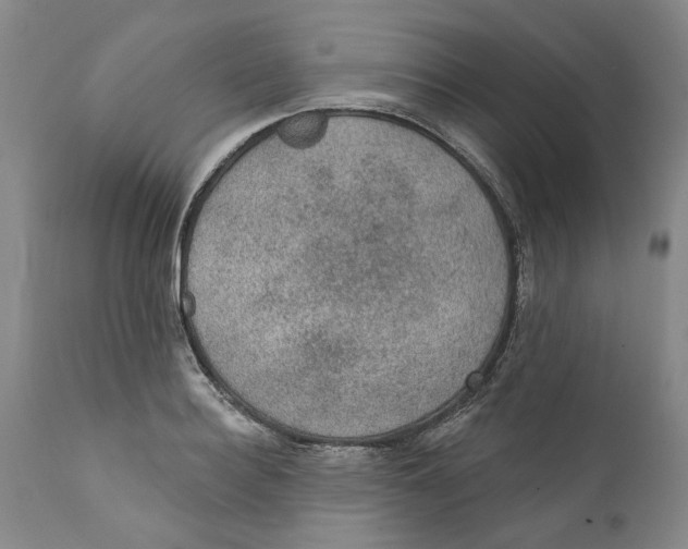 X0000112380940200909101342