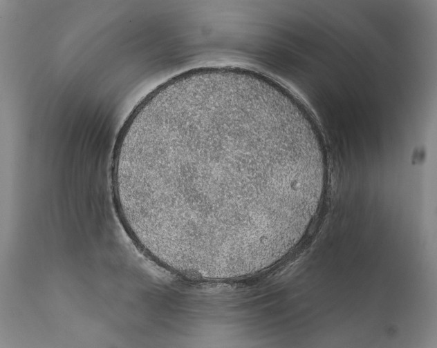 X0000112380943200909101343