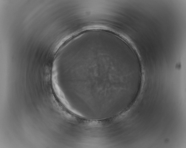 X0000112380945200909101343