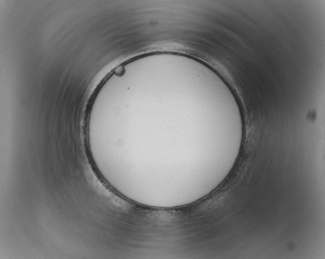 X0000112380947200909101343