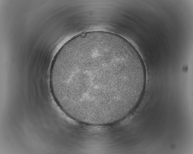 X0000112380949200909101343