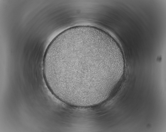 X0000112380951200909101343