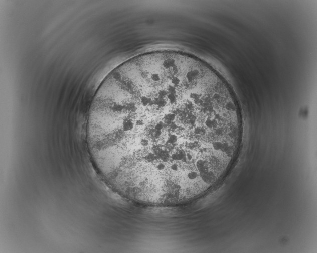 X0000112380953200909101343