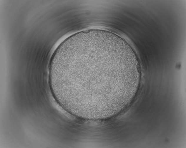 X0000112380955200909101343