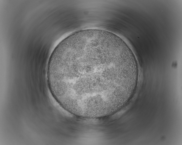 X0000112380957200909101343