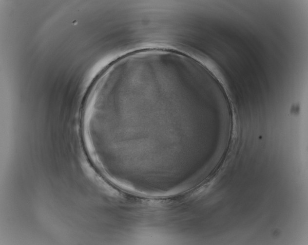 X0000112380958200909101343