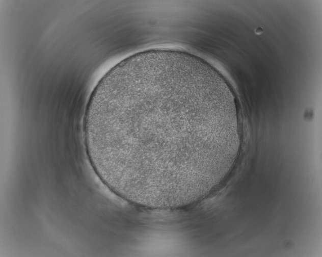 X0000112380959200909101343