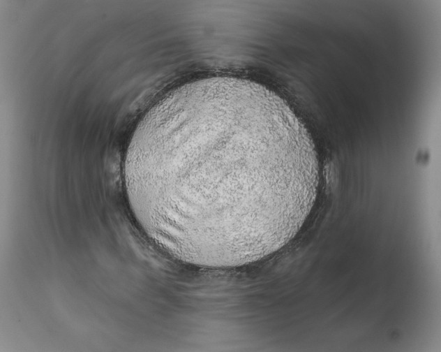 X0000112380963200909101342