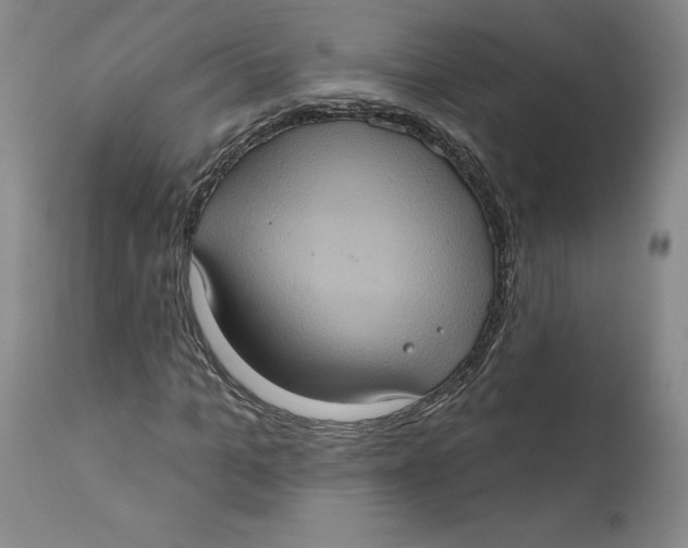 X0000112380965200909101342