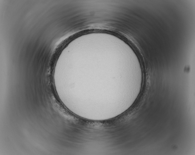 X0000112380971200909101342