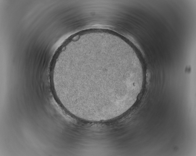 X0000112380972200909101342