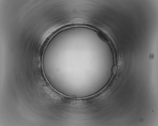 X0000112380973200909101342