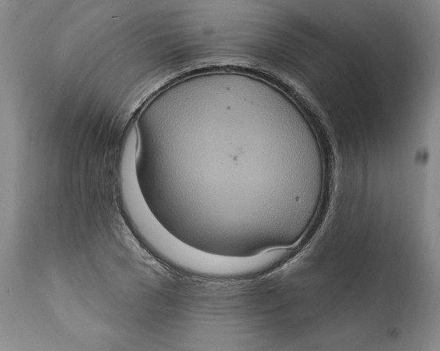 X0000112380977200909101342