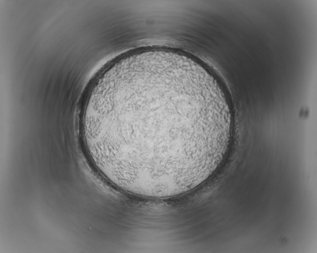 X0000112380983200909101342