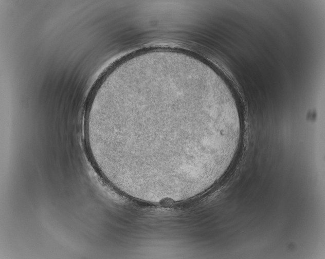 X0000112380984200909101342