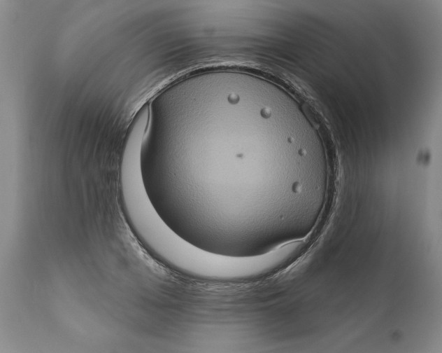 X0000112380985200909101342