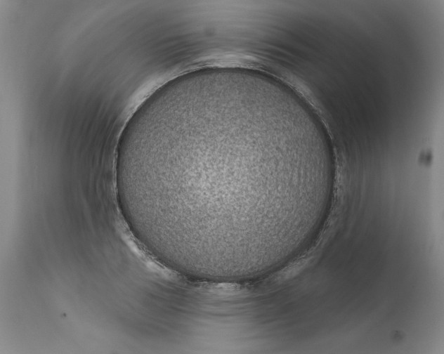 X0000112380986200909101342