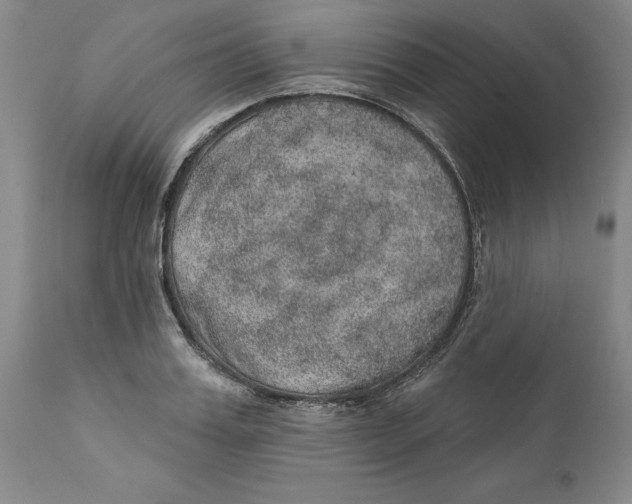 X0000112380987200909101342