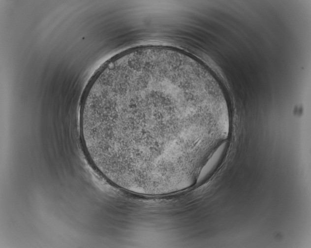 X0000112380988200909101342