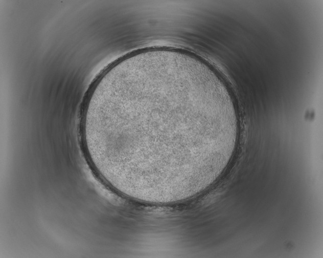 X0000112380991200909101341