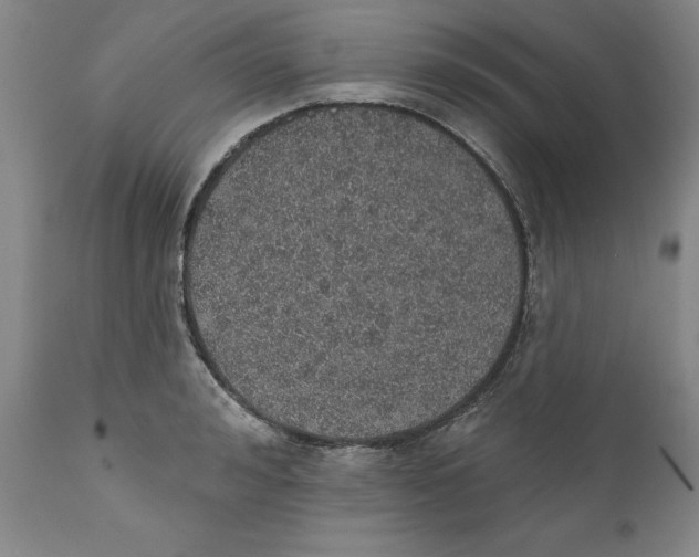 X0000112380992200909101341