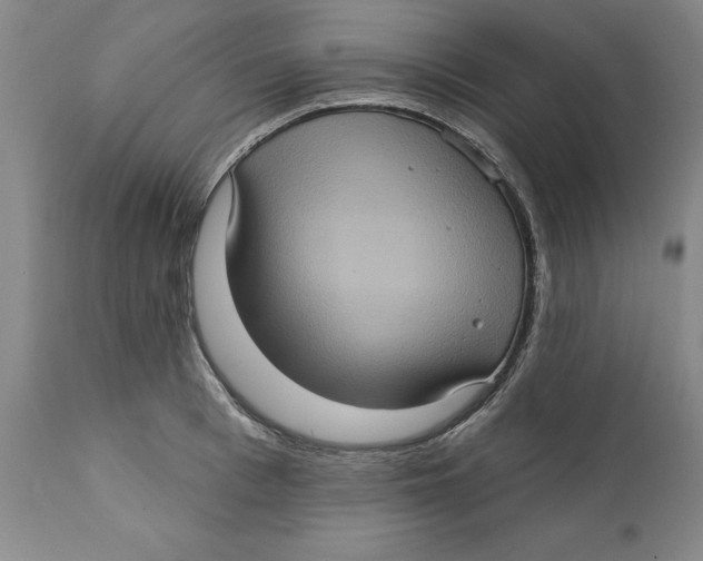 X0000112380993200909101341