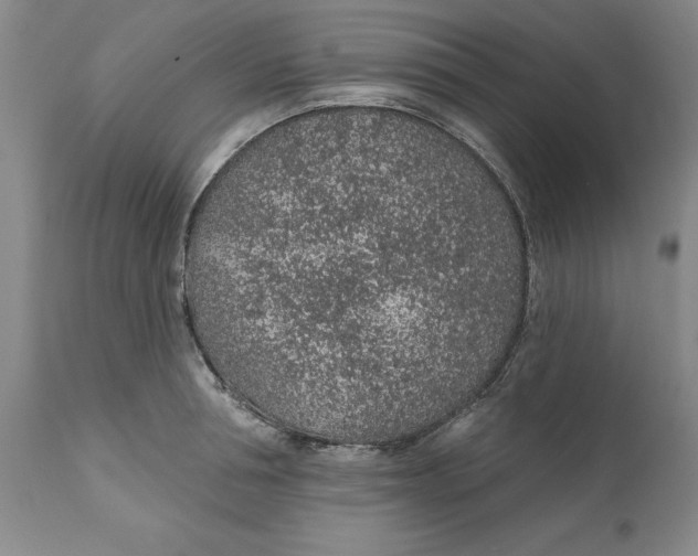 X0000112380994200909101341