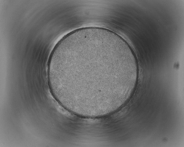 X0000112380996200909101341