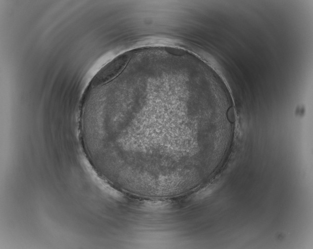 X0000112380997200909101341