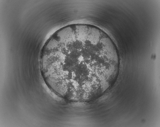 X0000112380998200909101341