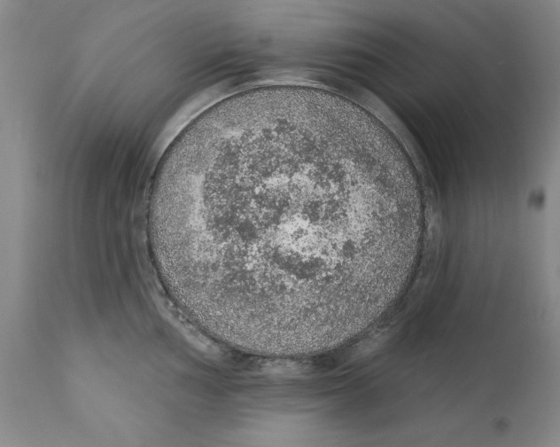 X0000112381002200909101341