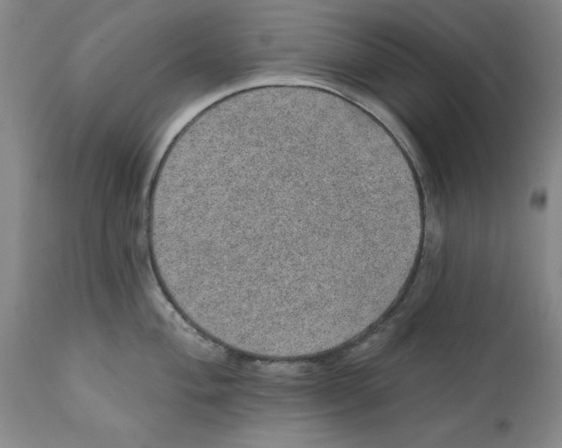 X0000112381004200909101341