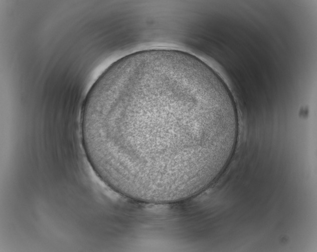 X0000112381006200909101341