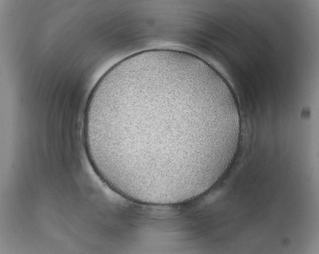 X0000112381007200909101341