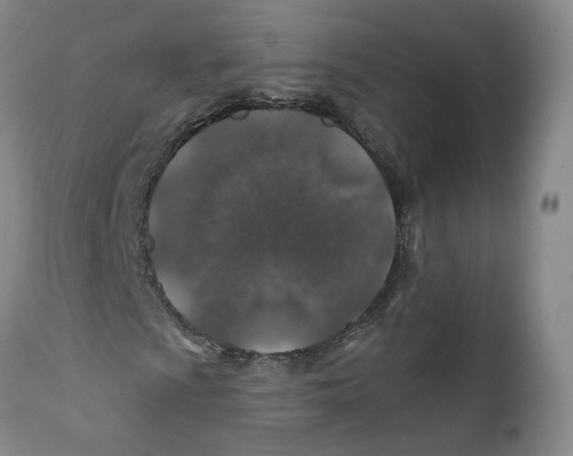 X0000112381009200909101341