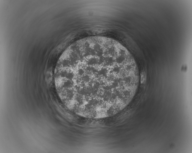 X0000112381011200909101341