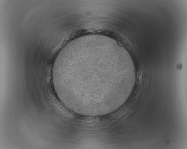 X0000112381012200909101341