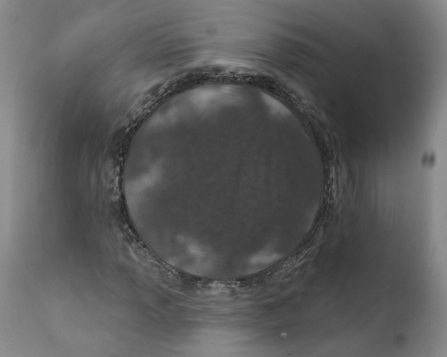 X0000112381013200909101341