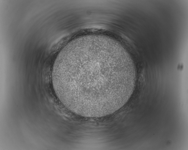 X0000112381014200909101341