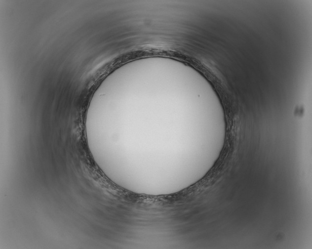 X0000112381015200909101341