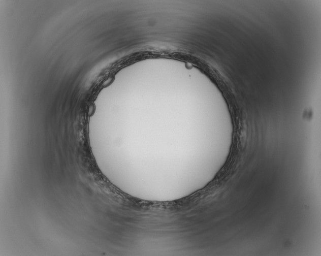 X0000112381016200909101341