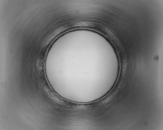 X0000112381017200909101341