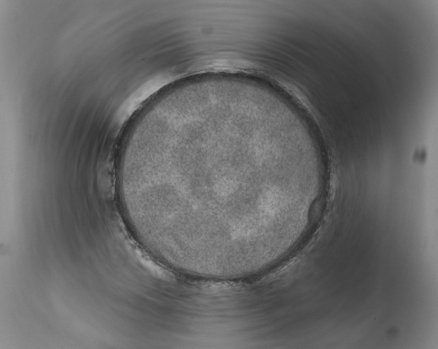 X0000112381018200909101341