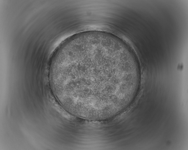 X0000112381019200909101341